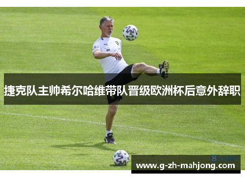 捷克队主帅希尔哈维带队晋级欧洲杯后意外辞职 捷克队主帅希尔哈维带队晋级欧洲杯后意外辞职